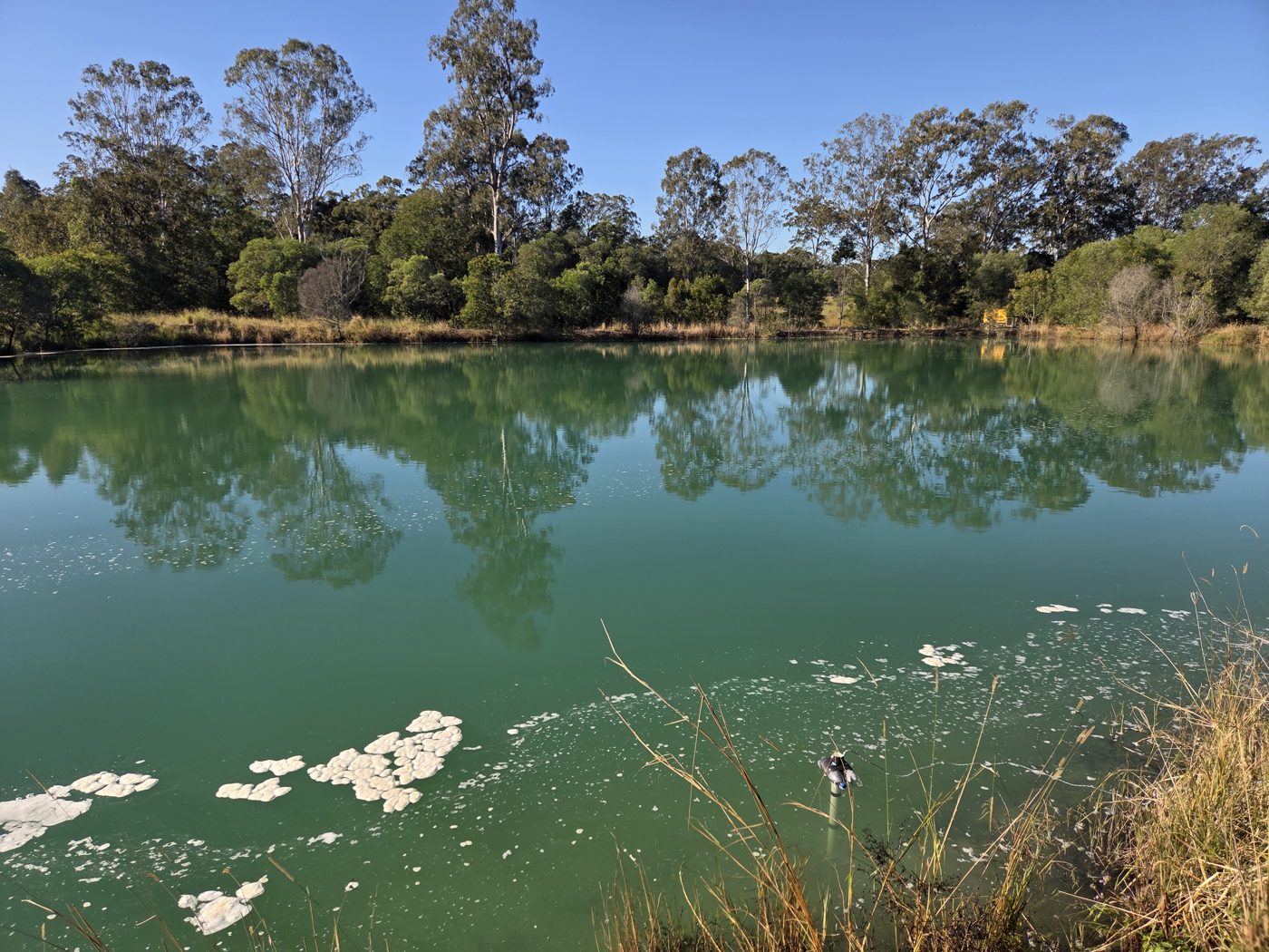 Treated pond with surface foam